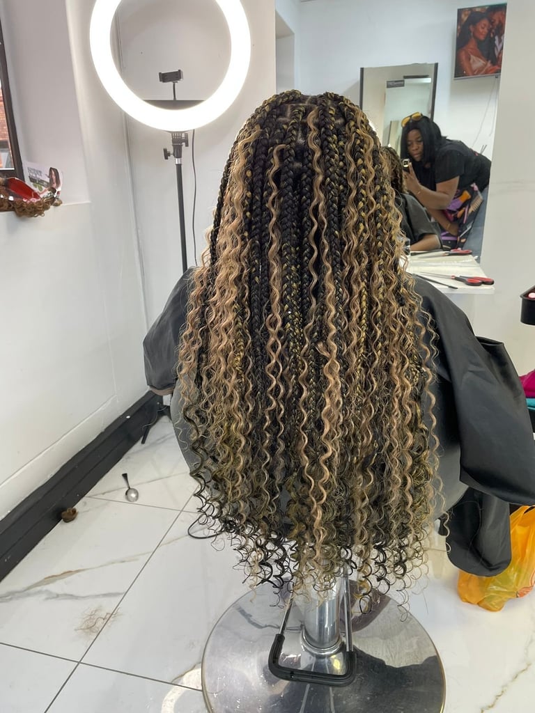 Long braided hair with highlights